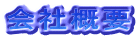 ��ЊT�v